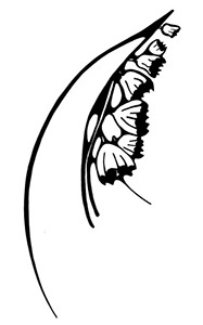 Dessin de la poésie du brin de muguet