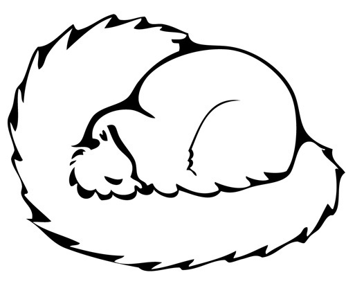 Dessin d'illustration de bestiaire poétique : Ecureuil qui dort