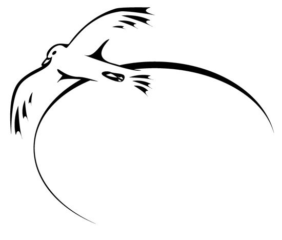 Illustration de poésie : dessin de la mouette et le néant