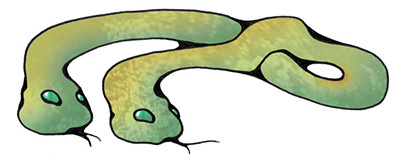 serpents yapapiriens